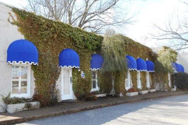 blue fabric dome awnings on vine covered building